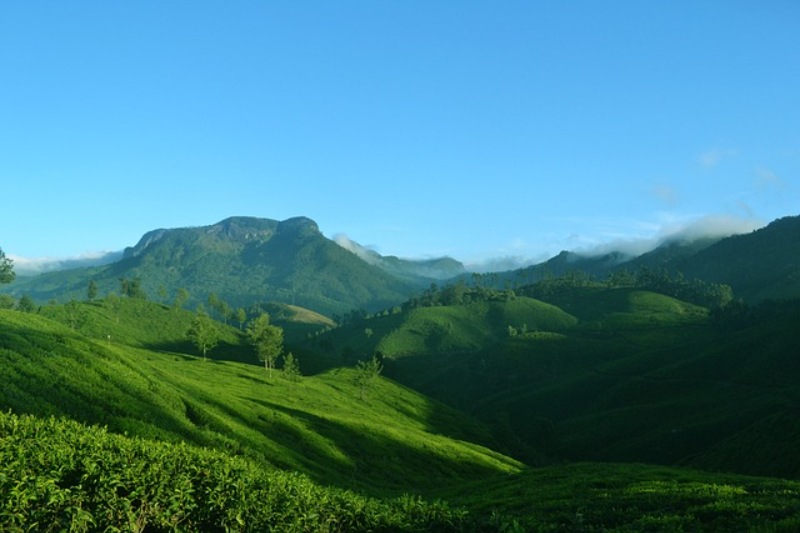 8 Day Kerala Family Tour Package from Srilanka