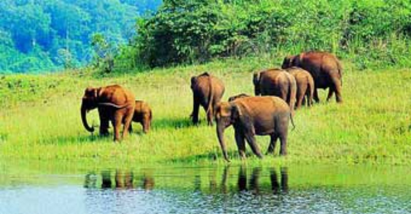Kerala 5 Days Tour Package From Chennai