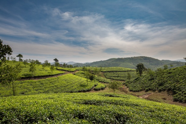 Kochi to munnar distance