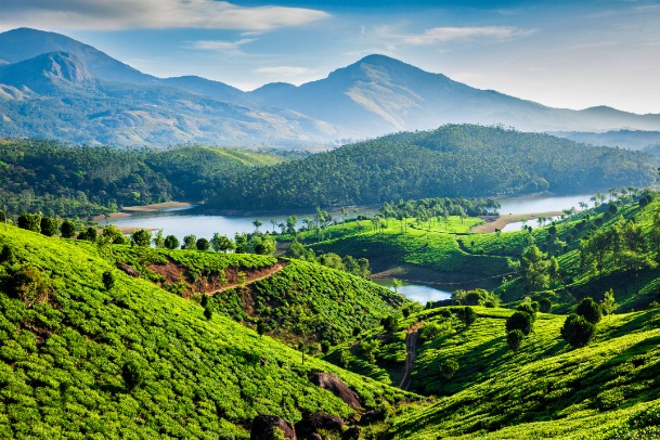 Munnar Teagarden seasonz tour