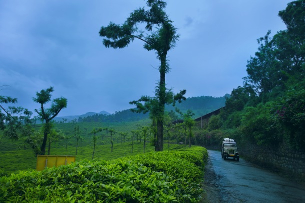 Munnar places to visit
