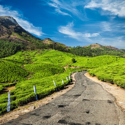 Kochi to Munnar