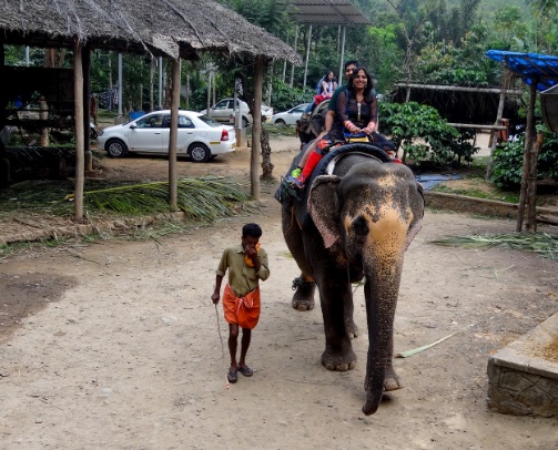 Munnar to Thekkady