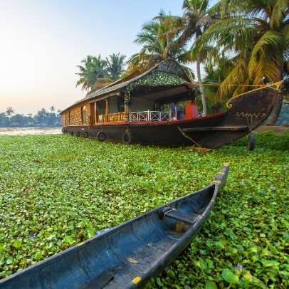 Thekkady - Alleppey/Kumarakom