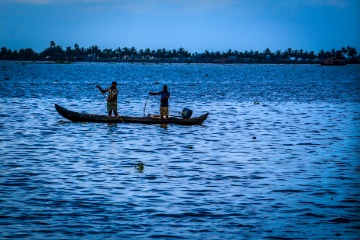 Kochi backwaters