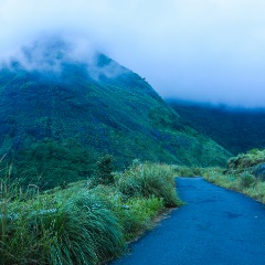 Cherai to Munnar