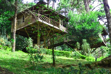 Munnar Tree House Honeymoon Packages