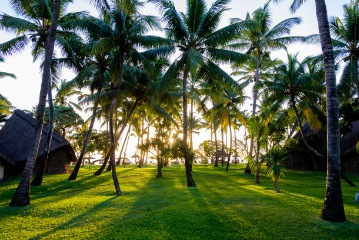 Ile Aux Cerfs tour