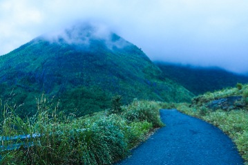 Cochin to Munnar