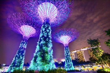 Singapore arrival - Gardens by the Bay