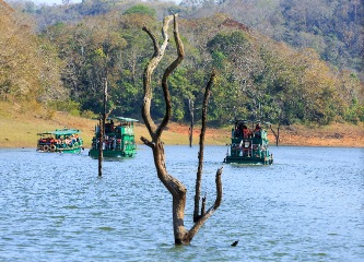 Munnar to Thekkady