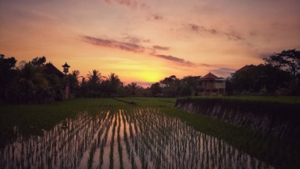 Bali airport arrival