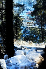 Manali Sightseeing