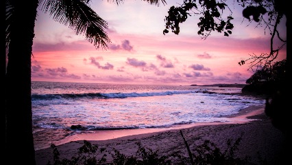 Travel to Havelock Island & Visit Radhanagar Beach