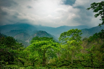 Excursion to Tsomgo Lake & Baba Mandir