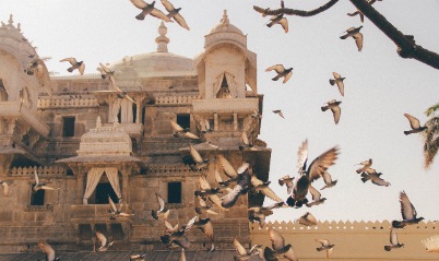 Udaipur Departure