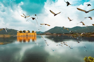 Jaipur Sightseeing & Travel to Udaipur