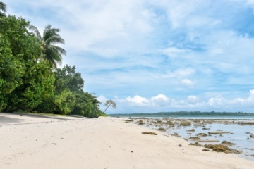 Travel to Havelock Island & Visit Radhanagar Beach