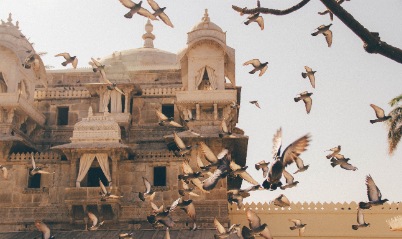 Jodhpur Sightseeing & Travel to Udaipur