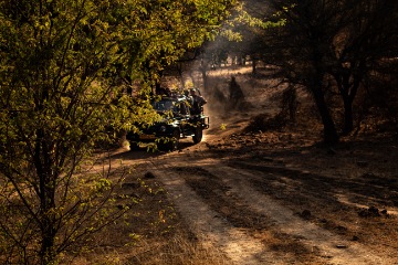 Ranthambore Sightseeing