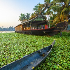 Cochin arrival to Alleppey