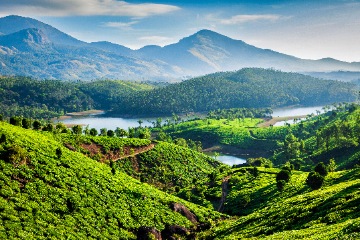 Munnar Sightseeing