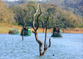 Munnar to Thekkady