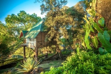 Treehouse Munnar Kerala