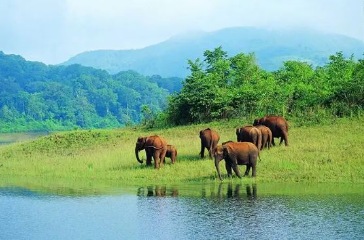 Munnar to Thekkady