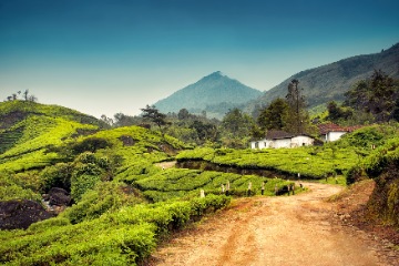 Cherai to Munnar