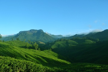 Munnar Sightseeing